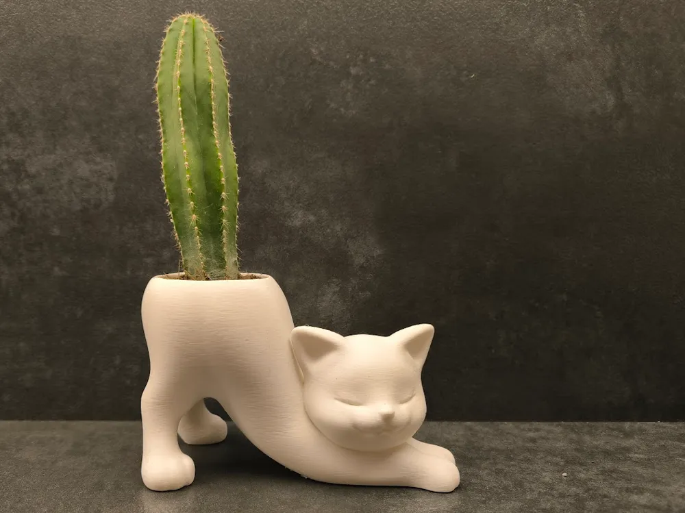 Gato Vaso